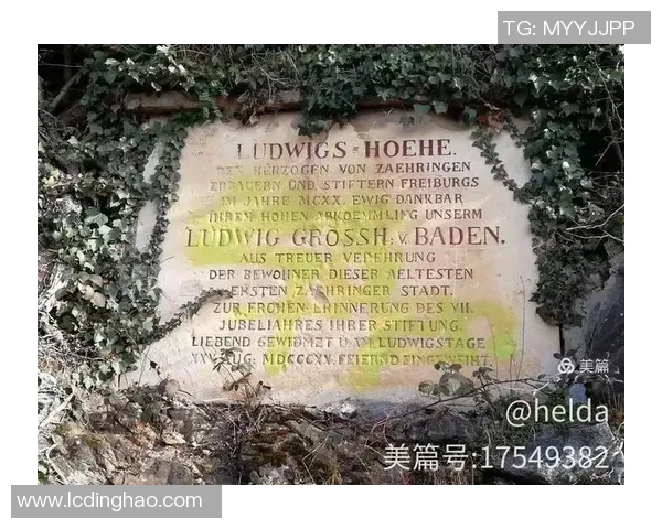 弗赖堡伤病阴影笼罩：主力缺阵，能否守护黑森林的荣耀？